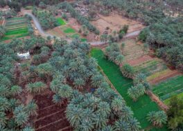 قائمة الطوالع السنوية في السعودية