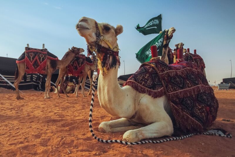الحفاظ على إرث أدوات الإبل: دعوة للأجيال القادمة