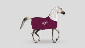 المسابقة الوطنية لتصميم أوشحة الخيل