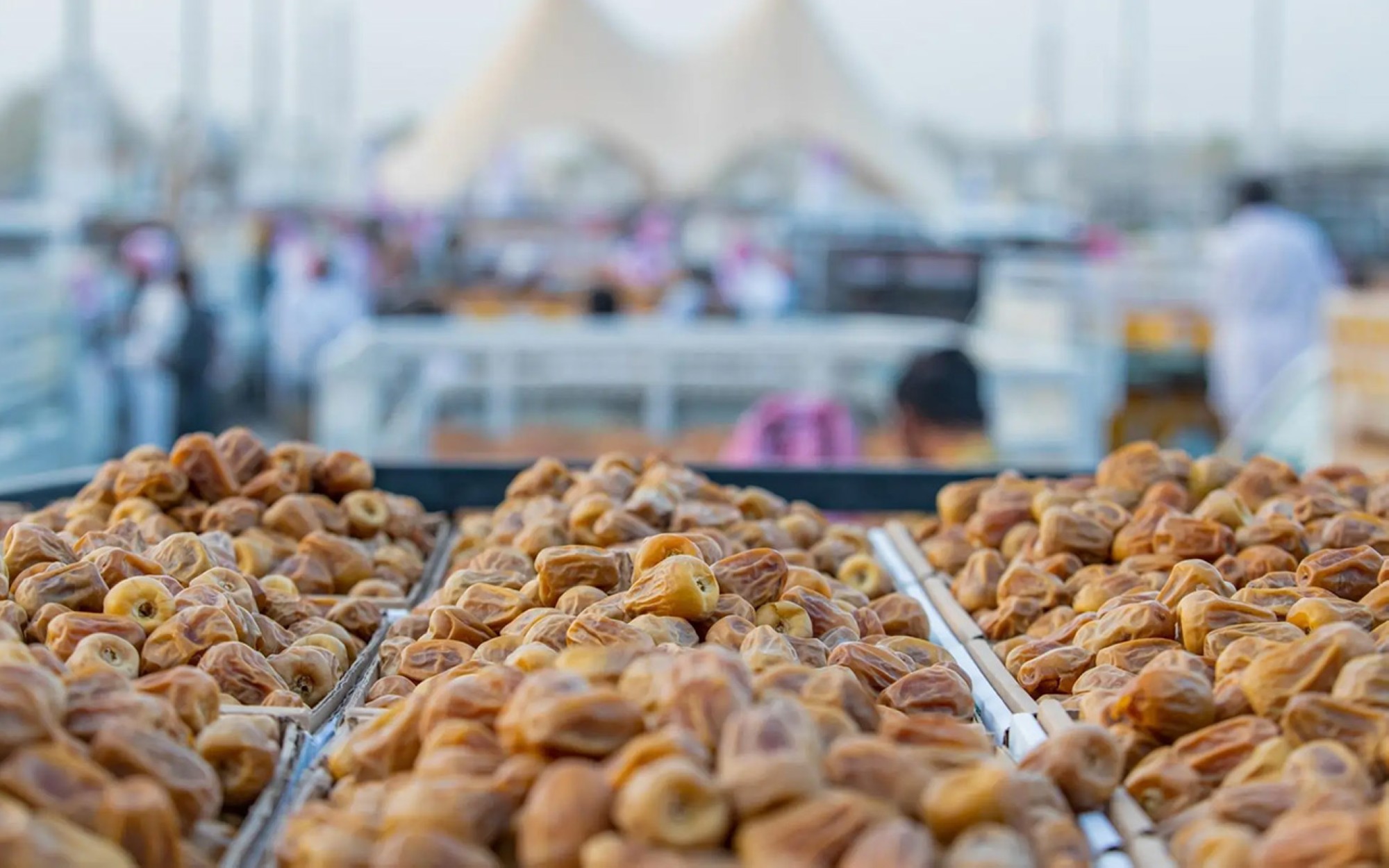 كرنفال بريدة للتمور