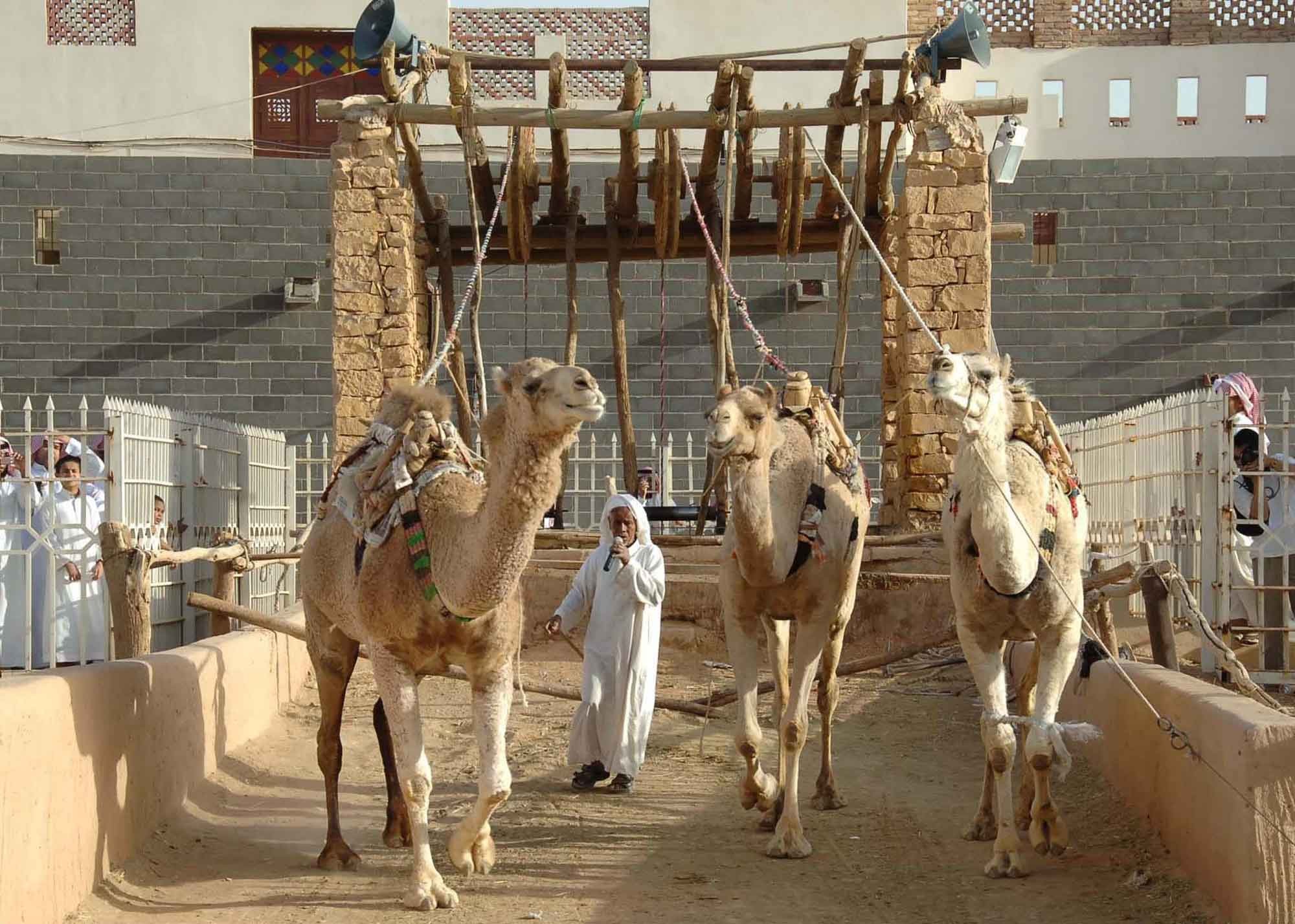 قائمة بعشرة مهرجانات سعودية