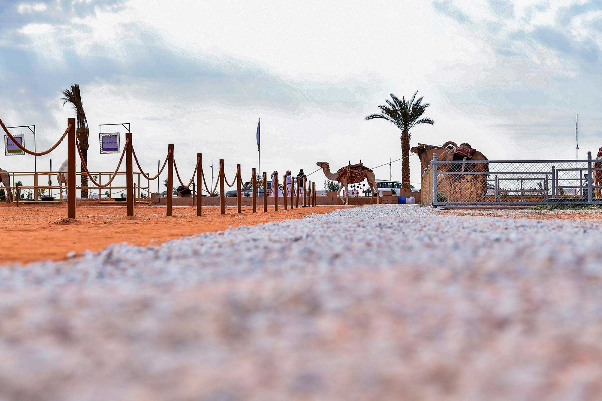 مهرجان الملك عبدالعزيز للإبل 2018