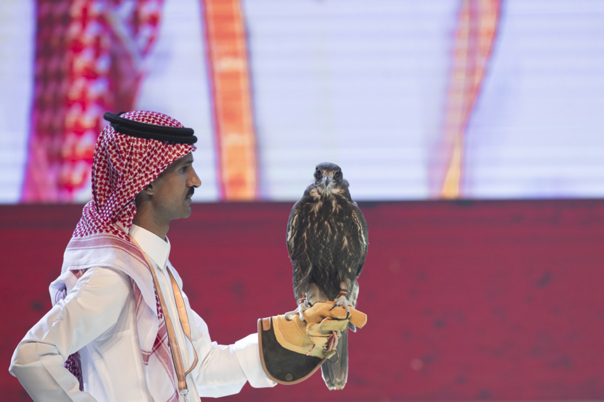 مهرجان الملك عبدالعزيز للصقور 2021