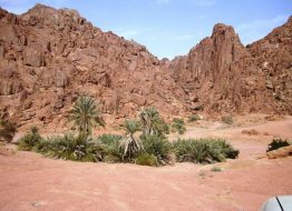 قائمة الأيقونات البصرية في منطقة حائل