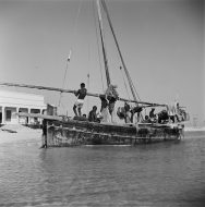 المهن البحرية في السعودية: تحديات تواجه استمراريتها