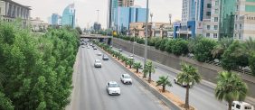 دليل حي الربوة الرياض