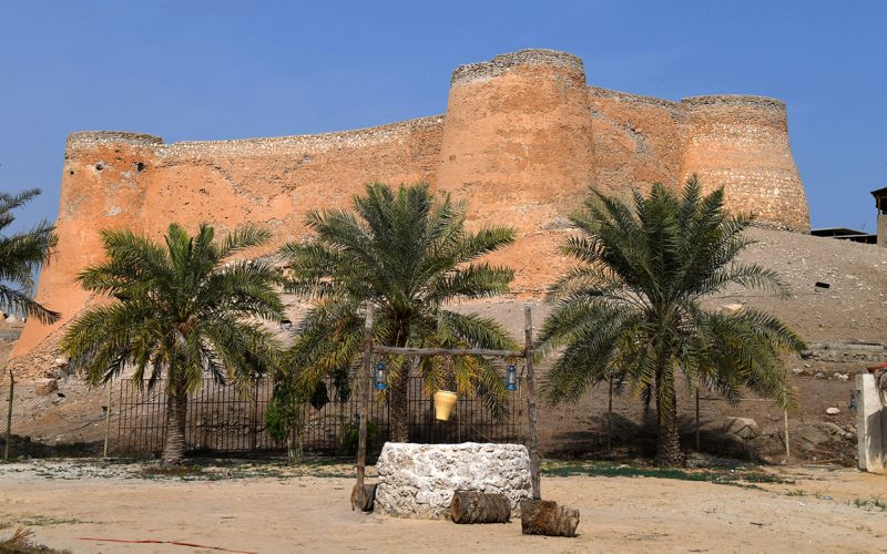 مبادرات تطوير جزيرة تاروت: كيف ستغير المنطقة؟