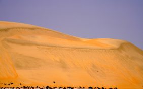 جولة في منطقة السنام: استكشاف التنوع الجغرافي والنباتي