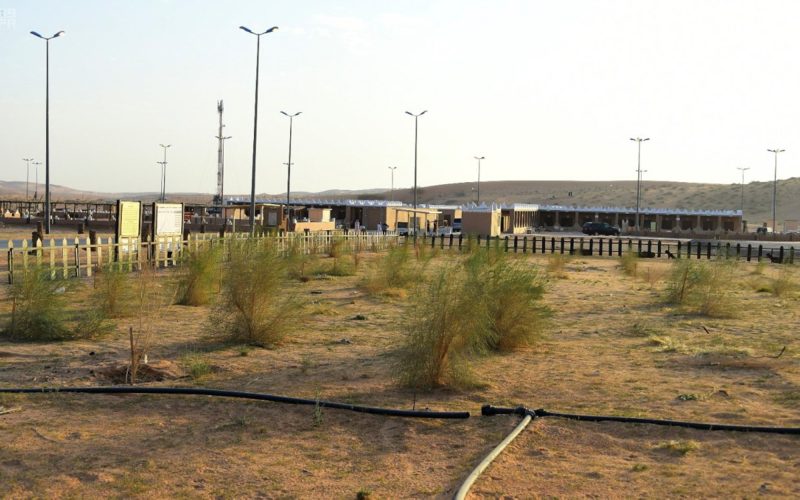 منطقة السنام: واحة الحياة في صحراء الربع الخالي