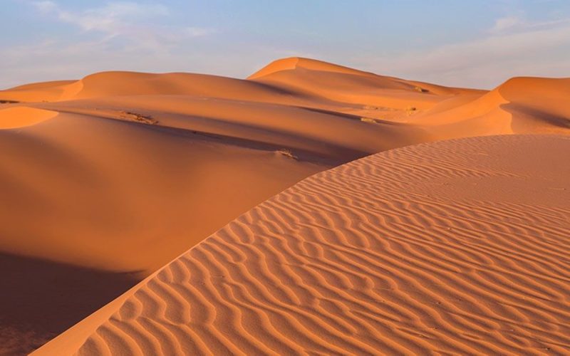أسرار الربع الخالي: الحياة في أكبر صحراء رملية
