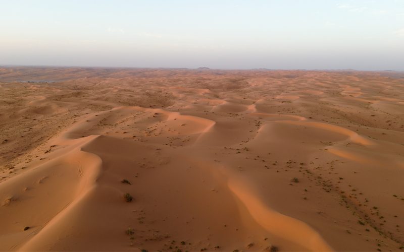 صحاري السعودية: مساحة شاسعة وهوية متجذرة في التاريخ