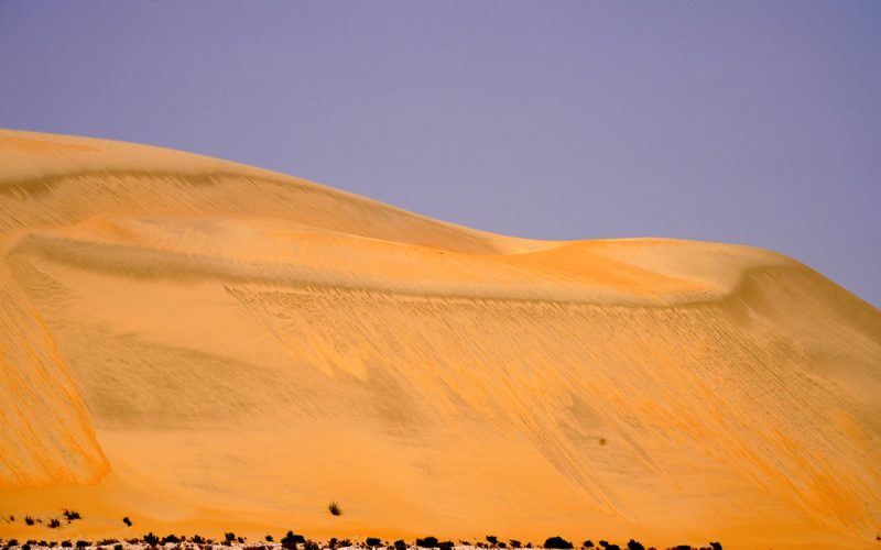 الربع الخالي: مستقبل السياحة في أكبر صحراء رملية