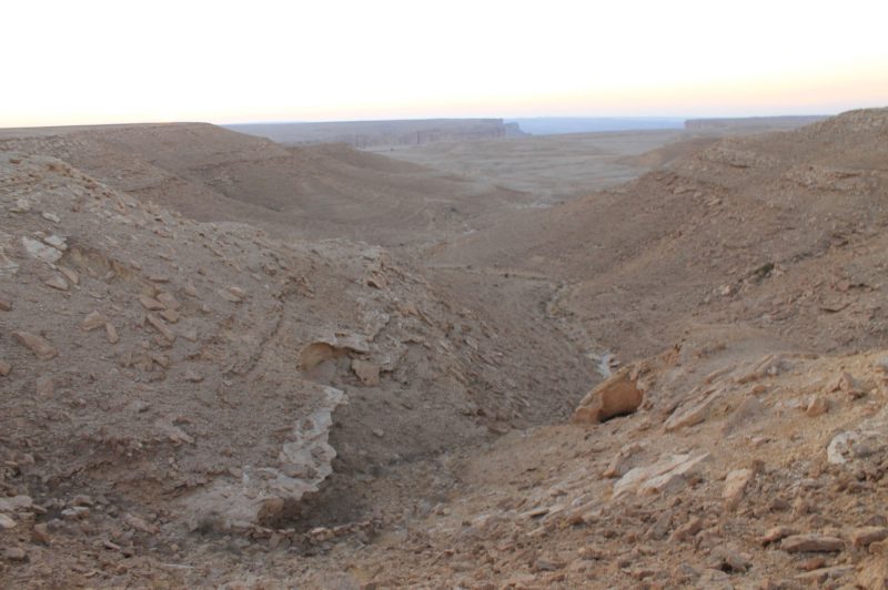 هضبة عليّة: لماذا يجب أن تكون وجهتك القادمة؟