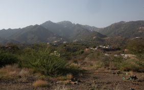 جبل فيفا: كل ما تحتاج معرفته قبل زيارتك