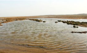 استكشف وادي الجرير: تفاصيل عن تاريخ وجغرافية الوادي