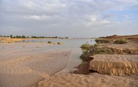 وادي عفال