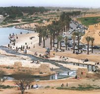 أهمية أودية السعودية: الزراعة والحياة البرية