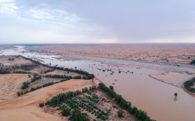رحلة في وادي الرمة: الطبيعة والتاريخ في مكان واحد