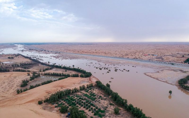 رحلة في وادي الرمة: الطبيعة والتاريخ في مكان واحد