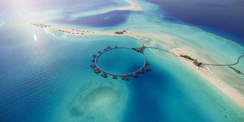 استدامة البحار: حماية الطبيعة البحرية في السعودية