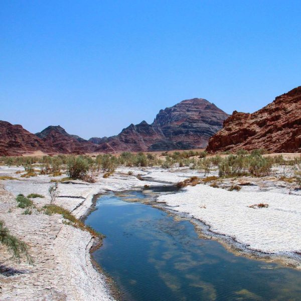 جولة في جغرافيا المملكة العربية السعودية: من الصحاري إلى السواحل