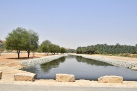 محمية الحائر: الأراضي الرطبة كنز طبيعي ينتظر اكتشافه