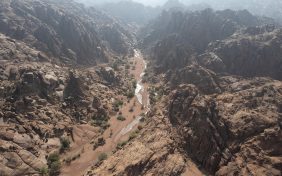 المحميات الملكية في السعودية: فرص استثمارية في قطاع السياحة المتنامي