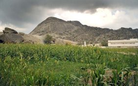 محمية جبل شدا الأعلى