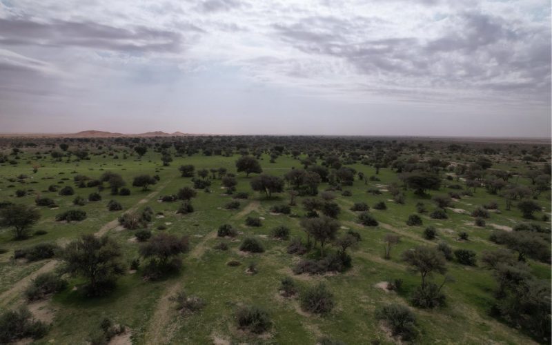 محمية الإمام عبدالعزيز بن محمد: رؤية المملكة للاستدامة البيئية