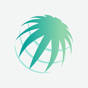 أهم مدن السعودية: دليل المسافر والمقيم