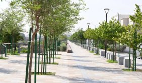 المدينة المنورة الخضراء: هل تنجح في تحقيق أهدافها؟
