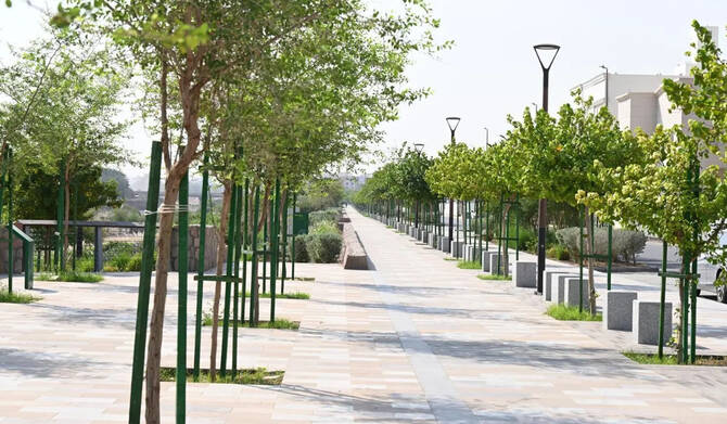 المدينة المنورة الخضراء: هل تنجح في تحقيق أهدافها؟