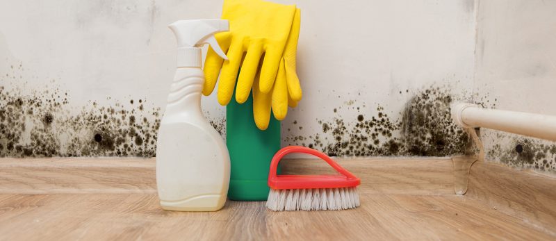 نصائح ذهبية للتخلص من الرطوبة في المنزل بأساليب بسيطة واقتصادية