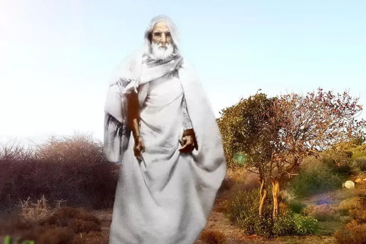 علي بن محمد السنوسي: من أعلام الأدب والقضاء