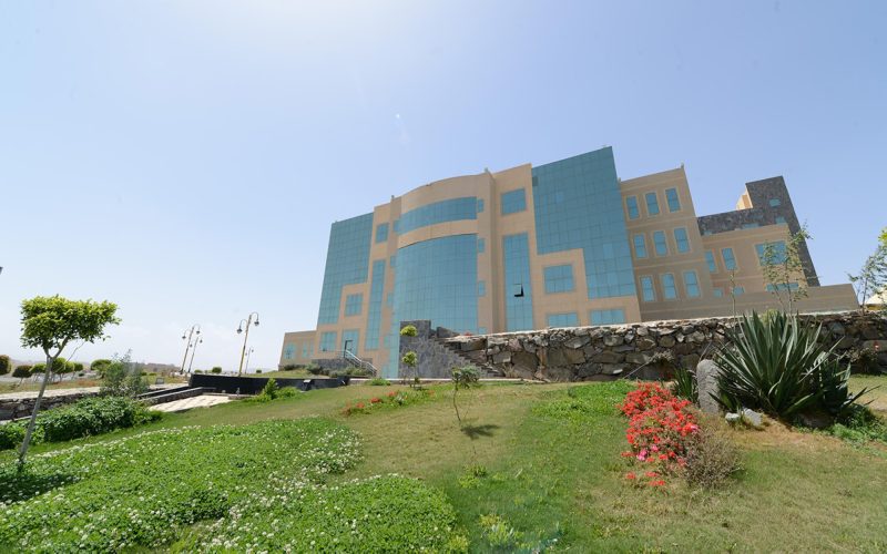 نظرة على تطور التعليم العالي وإنشاء الجامعات الحكومية بالسعودية