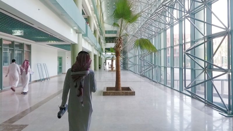 التخصص المزدوج: للنجاح في دراستك