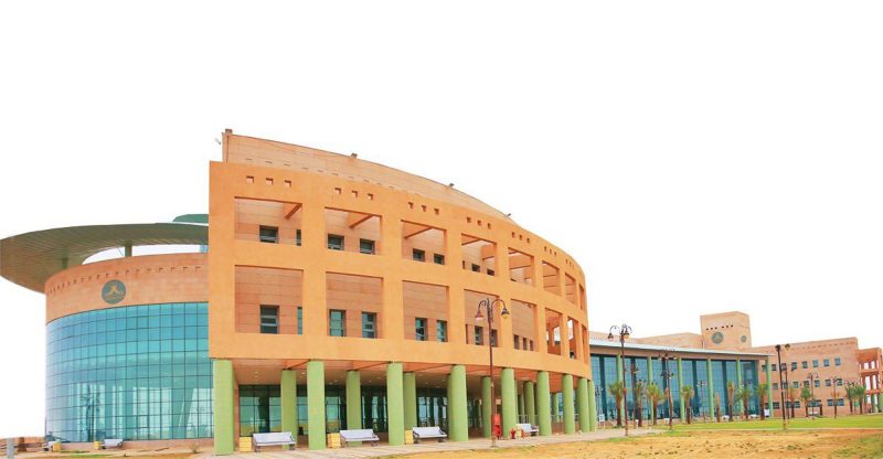جامعة الحدود الشمالية ومركز الوثائق والمحفوظات: تحديات وحلول