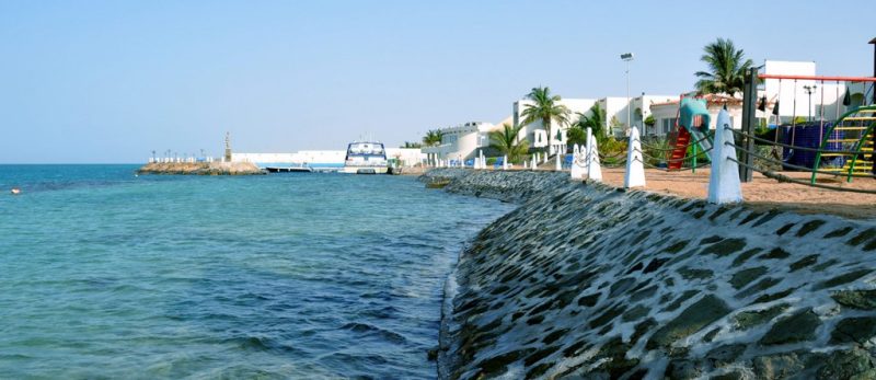 حدائق ينبع: استكشف أفضل الحدائق والمنتزهات