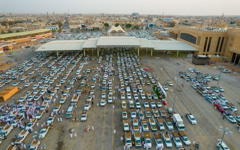 مهرجان بريدة للتمور: فرص استثمارية واعدة
