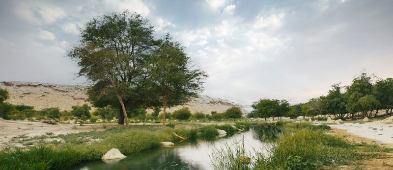 محمية الحائر: جهود المملكة في حماية البيئة