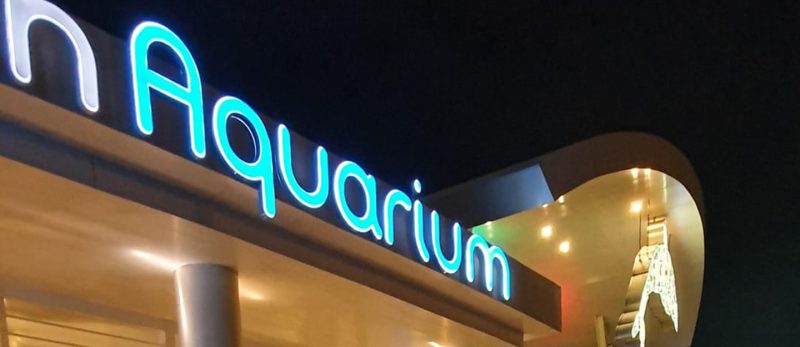 فقيه أكواريوم: الترفيه والتعليم يجتمعان في عالم البحار