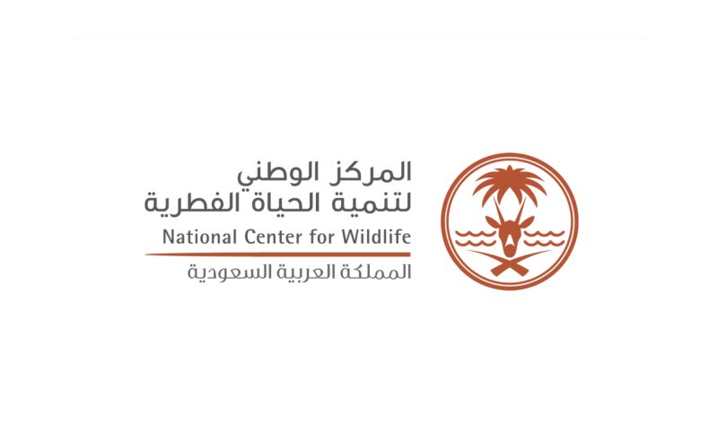 إعادة توطين الحيوانات: جهود المملكة في دعم الحياة الفطرية
