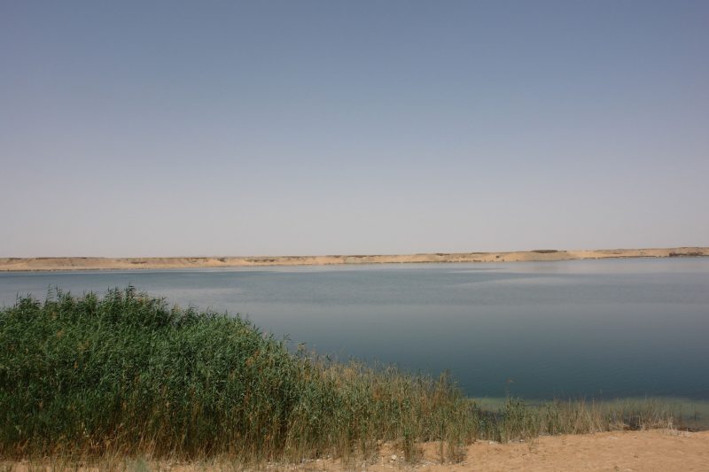 السياحة المستدامة: دور سد وادي حنيفة في إدارة المياه في الرياض