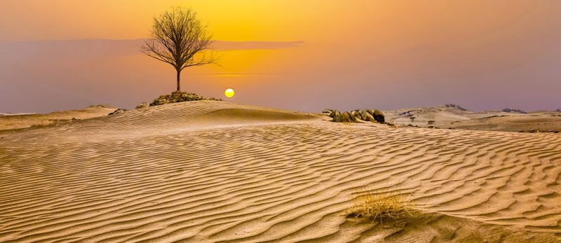 مناخ السعودية: حقائق وأرقام عن الفصول والعوامل المناخية