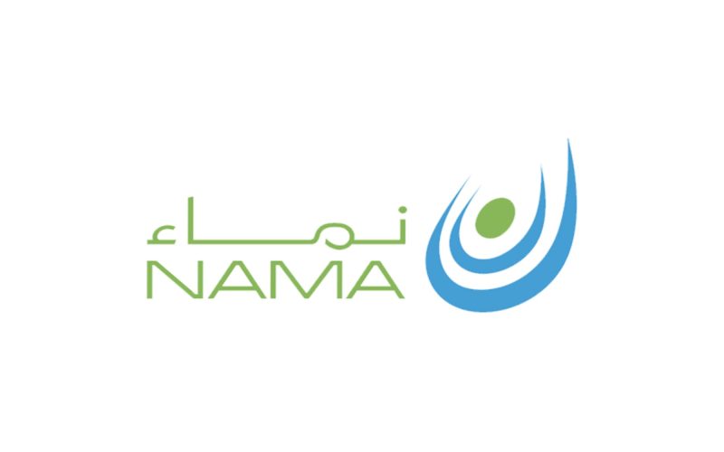 التحديات والفرص أمام شركة نماء للكيماويات في ظل رؤية 2030