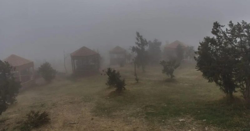 دليل السلامة: الأحوال الجوية في المنطقة الشرقية والتعامل مع الضباب