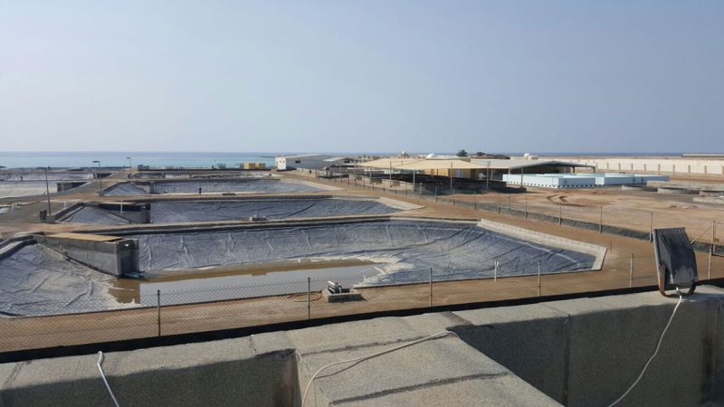 الزراعة المستدامة: شراكات أكاديمية لتطوير استخدام مياه البحر