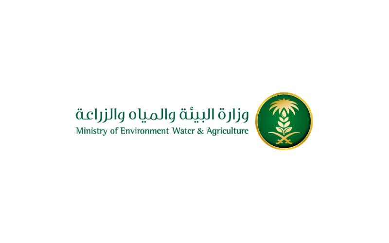 مستقبل الصيد في السعودية: برنامج دعم الصيادين والاستدامة