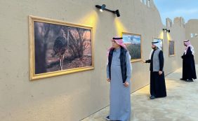 الأسواق الشعبية: أصالة الماضي وتطلعات المستقبل