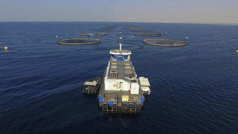 تطوير الصناعة البحرية ضمن رؤية السعودية 2030